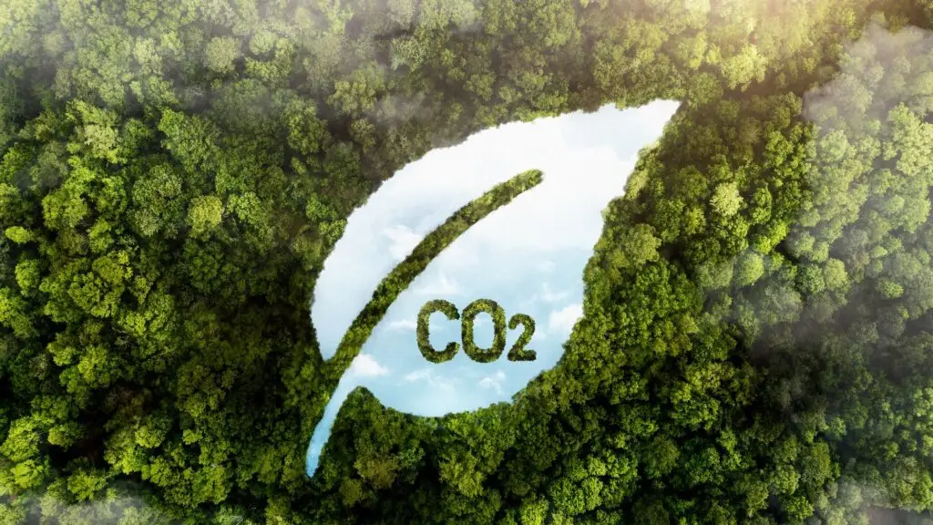 Reducing Carbon Footprint: Eco-Friendly Practices in Logistics